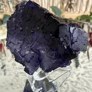 Puede incluir: Un grupo de cristales de fluorita de color p&uacute;rpura oscuro con una estructura c&uacute;bica. El cristal se exhibe sobre un soporte decorativo transparente, que refleja la luz. El fondo est&aacute; borroso, con toques de vegetaci&oacute;n y una superficie estampada.