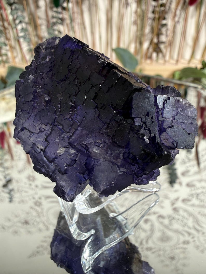 Puede incluir: Un grupo de cristales de fluorita de color p&uacute;rpura oscuro con una estructura c&uacute;bica. El cristal se exhibe sobre un soporte decorativo transparente, que refleja la luz. El fondo est&aacute; borroso, con toques de vegetaci&oacute;n y una superficie estampada.