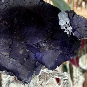 Puede incluir: Primer plano de un grupo de cristales de fluorita de color p&uacute;rpura oscuro. El cristal tiene una estructura geom&eacute;trica y en bloques con un color profundo y saturado. El cristal se exhibe sobre un soporte de vidrio transparente y ondulado.