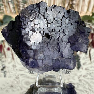 Puede incluir: Un grupo de cristales de fluorita de color p&uacute;rpura oscuro con una estructura c&uacute;bica, exhibido sobre un soporte transparente. El cristal tiene una superficie reflectante, mostrando una gama de tonos p&uacute;rpura oscuro. El fondo est&aacute; borroso, resaltando la forma &uacute;nica del cristal.