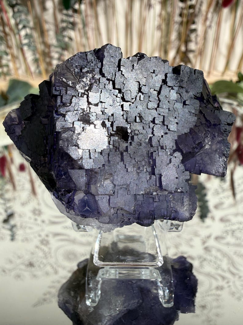 Puede incluir: Un grupo de cristales de fluorita de color p&uacute;rpura oscuro con una estructura c&uacute;bica, exhibido sobre un soporte transparente. El cristal tiene una superficie reflectante, mostrando una gama de tonos p&uacute;rpura oscuro. El fondo est&aacute; borroso, resaltando la forma &uacute;nica del cristal.