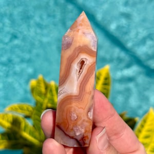 Carnelian Flower Agate Tower | Orange Plume Madagascar Crystal Point
