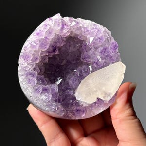 May include: A spherical amethyst geode featuring deep purple crystalline structures lining the interior cavity. A single, smooth, translucent white calcite crystal is attached to the lower right edge of the geode, contrasting with the purple.