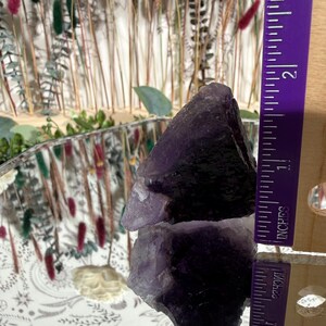 Puede incluir: Un cristal de amatista en bruto, de color p&uacute;rpura oscuro, de aproximadamente 6,3 cm de altura, se muestra sobre una superficie espejada. Se coloca una regla p&uacute;rpura junto al cristal para la escala. El fondo presenta flores secas y vegetaci&oacute;n.