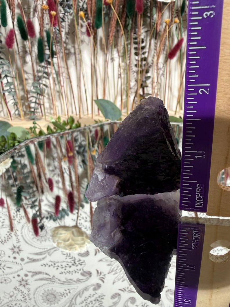 Puede incluir: Un cristal de amatista en bruto, de color p&uacute;rpura oscuro, de aproximadamente 6,3 cm de altura, se muestra sobre una superficie espejada. Se coloca una regla p&uacute;rpura junto al cristal para la escala. El fondo presenta flores secas y vegetaci&oacute;n.