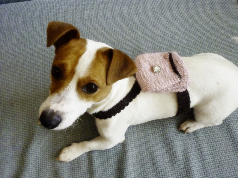 Knitting and Crochet Dog Backpack Pattern Etsy UK