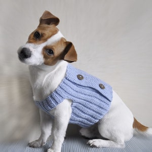 May include: A white and brown Jack Russell Terrier dog wearing a light blue knitted sweater with two brown buttons. The dog is sitting on a light blue surface.