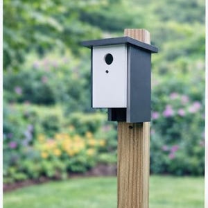 DIY Modern Birdhouse Plan | Easy Wooden Birdhouse Tutorial | Digital Download Woodworking Guide | Garden Bird House Project