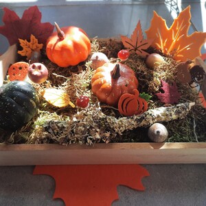 Peut inclure: Un plateau en bois rempli de décorations d'automne. Il présente des mini-citrouilles orange et vertes, des feuilles d'automne, des glands et de la mousse. L'arrangement évoque le thème de la récolte ou de l'Action de grâce.