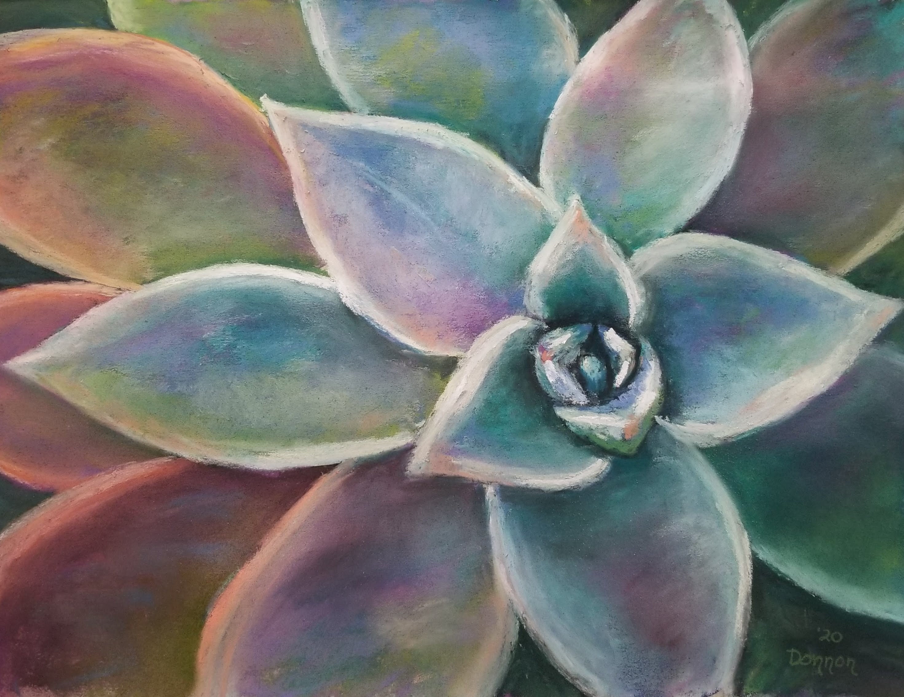 Digital Image of a Pastel Painting Original 9x12 Succulent Etsy