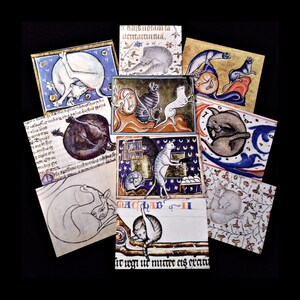 Set of 10 Assorted Blank Cards - Medieval Cats - 5.5&quot; x 4.25&quot; when folded - Medieval Cat Licking its Butt - funny card for cat history lover