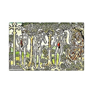 Fridge Magnet - Choose from 6 Designs - Danse Macabre - 2.75&quot; x 1.75&quot; - Medieval - Halloween - Dia de los Muertos - skeleton images