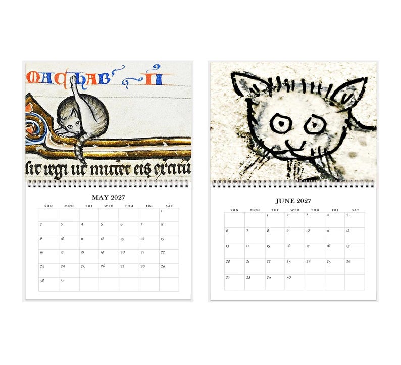 2027 Wall Calendar: Medieval Cats 11" x 17" Funny Historic Feline Art image 4