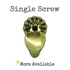 May include: A brass-toned metal furniture pull with a teardrop-shaped drop handle and a circular, scalloped backplate. The text "Single Screw" appears at the top, and "+ More Available" is printed at the bottom of the image.