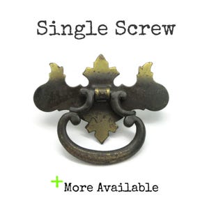 May include: A brass-toned metal drawer pull featuring a decorative backplate and a swinging bail handle. The text "Single Screw" is displayed above the hardware, while the text "+ More Available" is positioned below the object on a plain white background.
