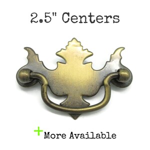 May include: A brass-toned metal drawer pull with a decorative backplate and a swinging bail handle. The text 2.5" Centers is printed above the hardware, and the text + More Available is printed below the hardware on a plain white background.