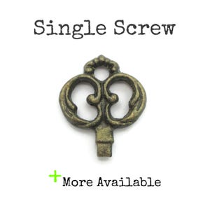 May include: An antique brass-colored key-shaped screw with an ornate design. The screw has a decorative top with a looped pattern. The text "Single Screw" is above the screw, and "More Available" is below.