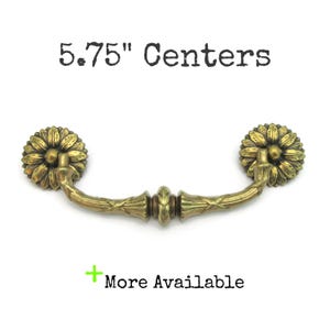 May include: Antique brass drawer pull with a floral design. The pull has a curved handle and measures 5.75 inches between the centers of the mounting holes. The text "5.75" Centers" is above the pull, and "More Available" is below.