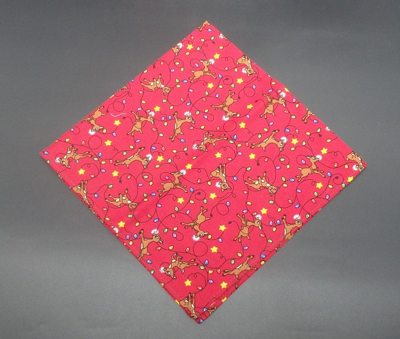 Rudolph /& Christmas Lights Christmas Gift Christmas Dinner Napkins Holiday Napkins Christmas Wedding Gift Hostess Gift
