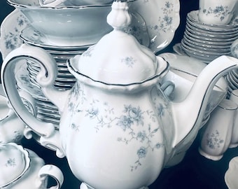 Juego de vajilla de 64 piezas_ Blue Garland (con sello de Baviera) de Johann Haviland + Extras