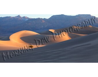 Sand Dunes At Sunrise - Matted photograph of Death Valley's Mesquite Flat Dunes.