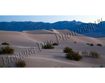 Mesquite Flat Dunes - Matted photograph of Death Valley's Mesquite Flat Dunes.