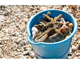 The Beach Pail - Matted photograph of beach pail full of sea shells.