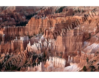 Hoodoo Dawn -  Matted photograph of the colorful formations in Bryce Canyon