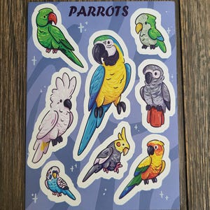 Parrot Sticker Sheet, Cute Vinyl Bird Stickers