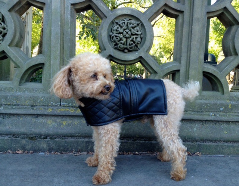 Lauren Faux Leather Dog Jacket Etsy