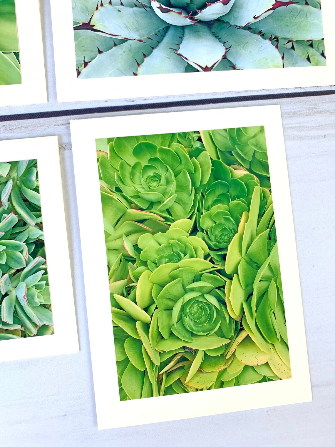 Nature Greeting Cards Blank Note Cards Nature Stationary | Etsy