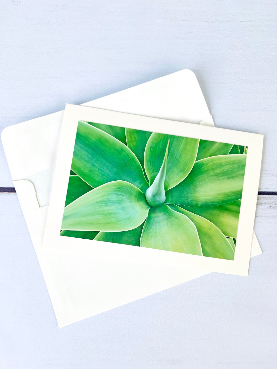 Nature Greeting Cards Blank Note Cards Nature Stationary | Etsy