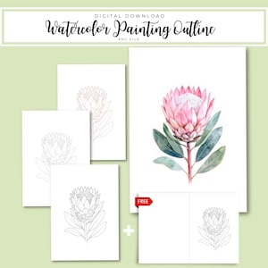 Puede incluir: Descarga digital de un contorno de pintura de acuarela. La imagen presenta una pintura de acuarela grande y detallada de una flor de protea rosa con hojas verdes. También se incluyen varios dibujos de contorno más pequeños de la misma flor.