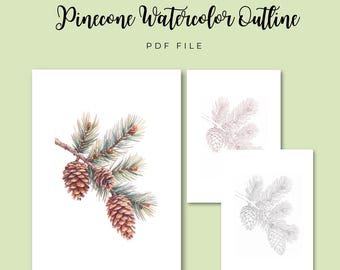 Christmas Pinecone Outline | Winter Pine Branch PDF | Watercolor Painting Template