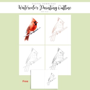 Può includere: Download digitale di un contorno di pittura ad acquerello con un uccello cardinale. L'immagine mostra un cardinale a colori, insieme a tre versioni di contorno in diversi stili. La parola "Free" è stampata in rosso in basso a sinistra.
