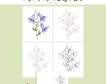 Bluebell Watercolor Outline | Flower Line Art | Bonus DIY Card Template | PDF