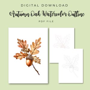 Puede incluir: Descarga digital con un contorno de acuarela de roble otoñal. La imagen muestra una pintura de acuarela de hojas de roble y una bellota en tonos marrones y naranjas. También se incluyen contornos adicionales.
