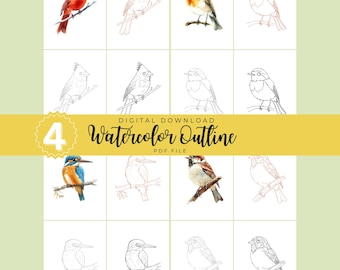 Woodland Bird Watercolor Outlines | Garden Bird Bundle Painting Template | Nature Animal Coloring Pages