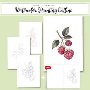 Raspberry Watercolor Outline | Botanical Line Art PDF for Painting