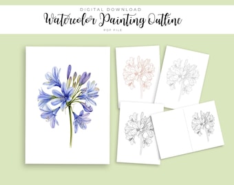 Blue Agapanthus Watercolor Outline | African Lily Painting Template | Summer Botanical Line Art