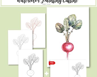 Radish Watercolor Outline PDF | Botanical Vegetable Painting Template