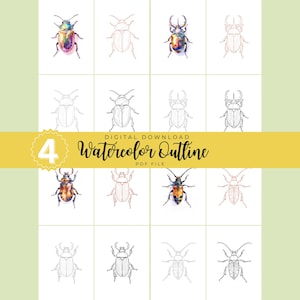 May include: A digital download featuring a grid of watercolor beetle illustrations. Some beetles are fully colored, showcasing vibrant hues, while others are outlined. The image includes text that reads "4 Watercolor Outline PDF File."