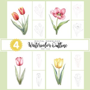 Zestaw akwarelowych konturów tulipanów | 4 szablony botaniczne | Do druku w formacie PDF do malowania wieloma technikami