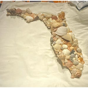 May include: A decorative wall art piece shaped like the state of Florida, constructed from a dense mosaic of various natural seashells in shades of white, tan, brown, and orange, arranged to form the distinct peninsula outline of the state.
