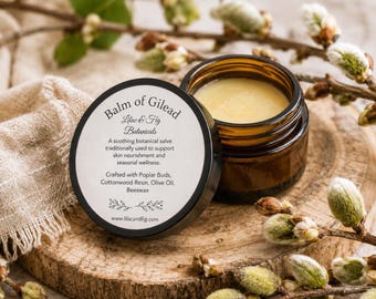 Balm of Gilead Salve | Cottonwood Bud Lilac Skin Support | Wildcrafted Botanical Balm