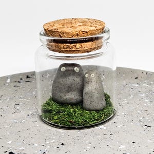 Cheeky Pet Rock in Jars - Glow in the dark eyes and big ol butts