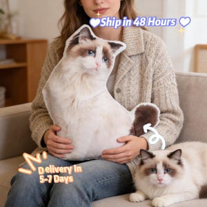 May include: A plush cat-shaped pillow with a white and brown pattern, held by a person. The pillow resembles a Ragdoll cat, with blue eyes and a fluffy tail. A real Ragdoll cat is also in the image. The text "Ship in 48 Hours" is visible.