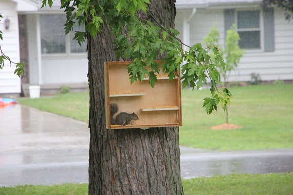 Squirrel Feeder Squirrel Maze Etsy