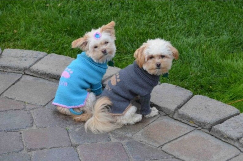 Sweater for Dog All Sizes PERSONALIZED Name 100 MERINO Etsy