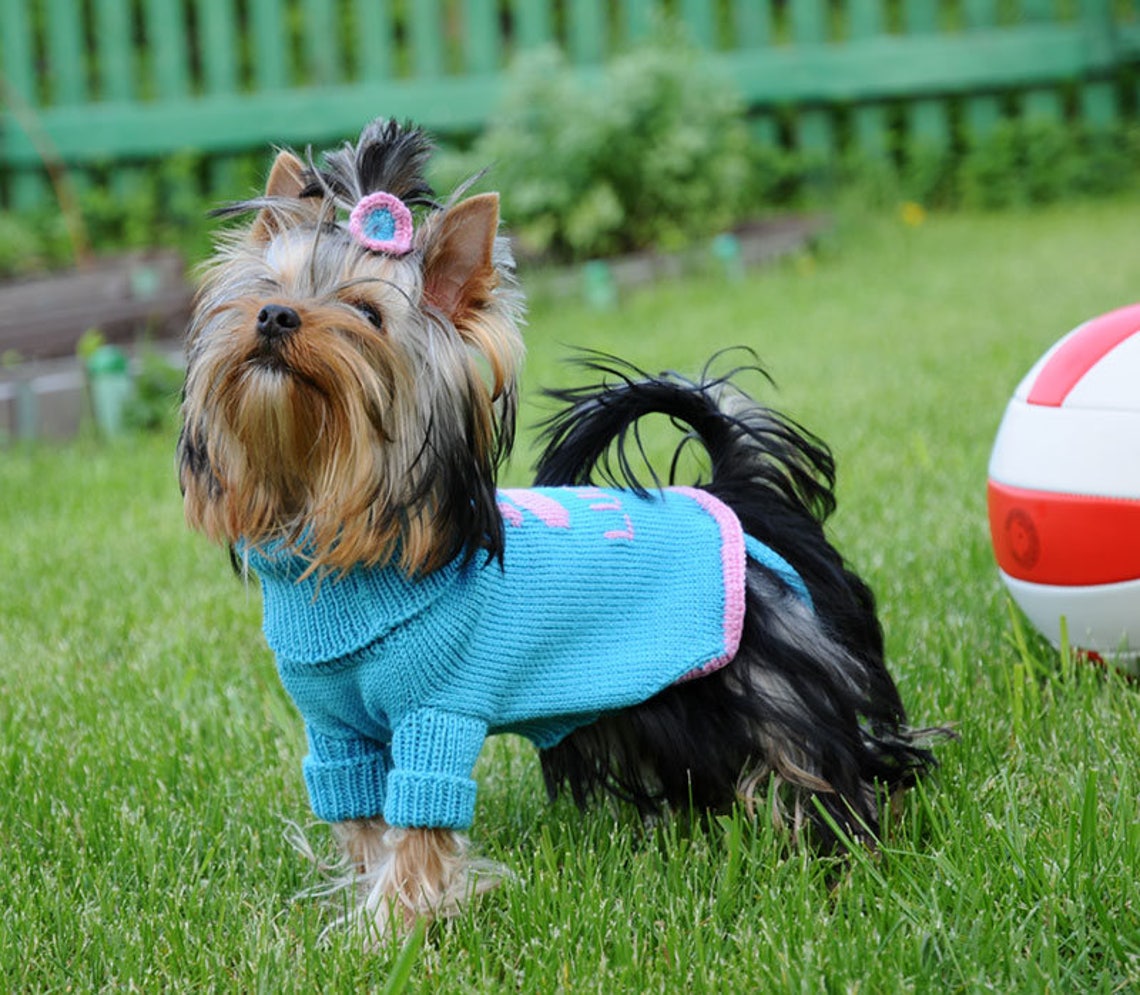 Sweater for Dog All Sizes PERSONALIZED Name 100 MERINO Etsy